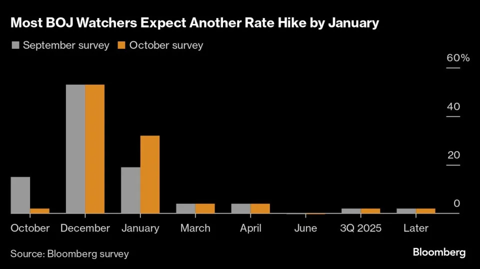 BOJ still on track for more rate hikes after standing pat