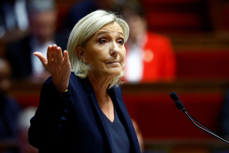 France's Le Pen says she would support a budget rollover emergency law