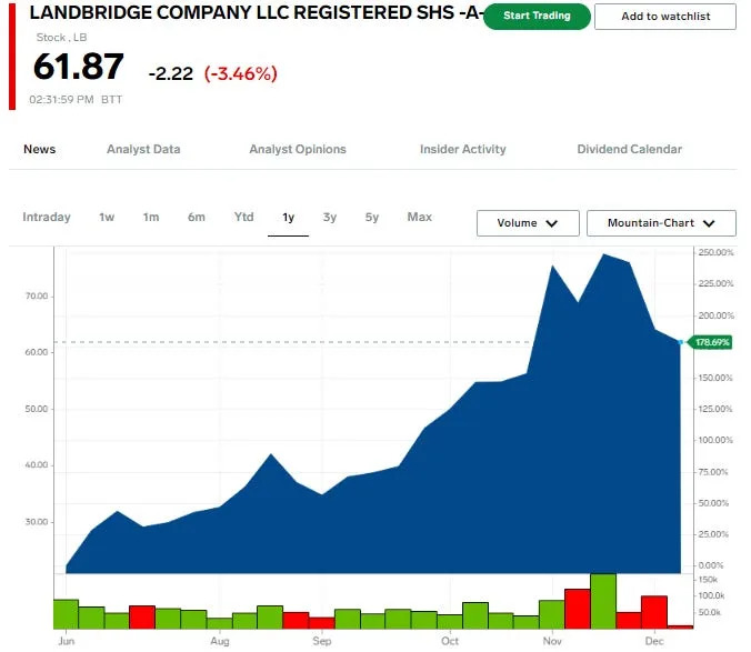 These are the 10 best-performing stocks that debuted in 2024