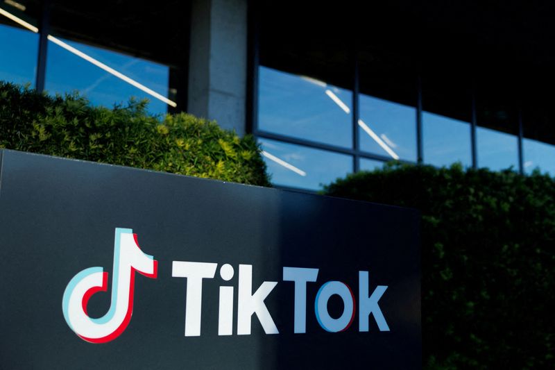 Explainer-What happens next for TikTok after Supreme Court agrees to review potential US ban?