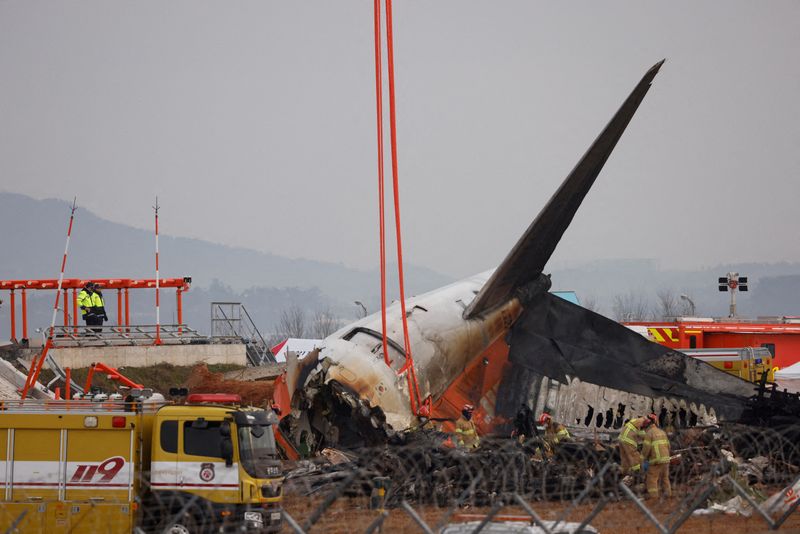 Bird feathers, blood found in both engines of crashed jet in South Korea, source says