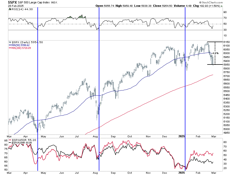 Bearish Sentiment Surges as If the Market Just Crashed