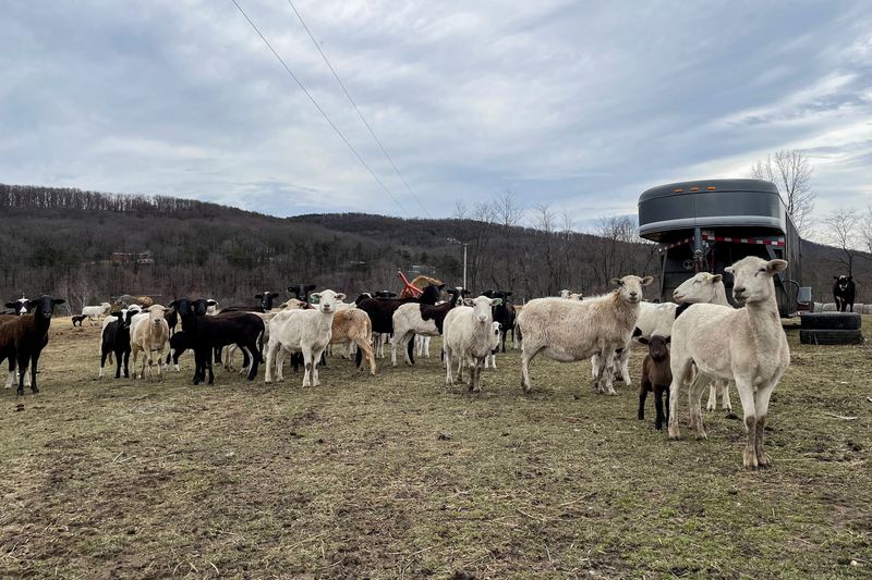 Farmers put plans, investments on hold under Trump USDA spending freeze