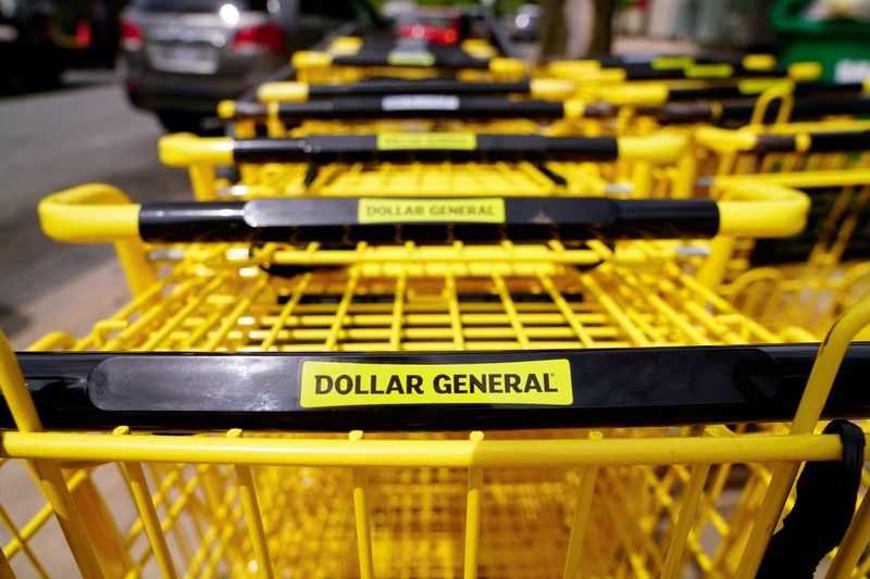 Dollar General forecasts muted 2025, says American shoppers are struggling